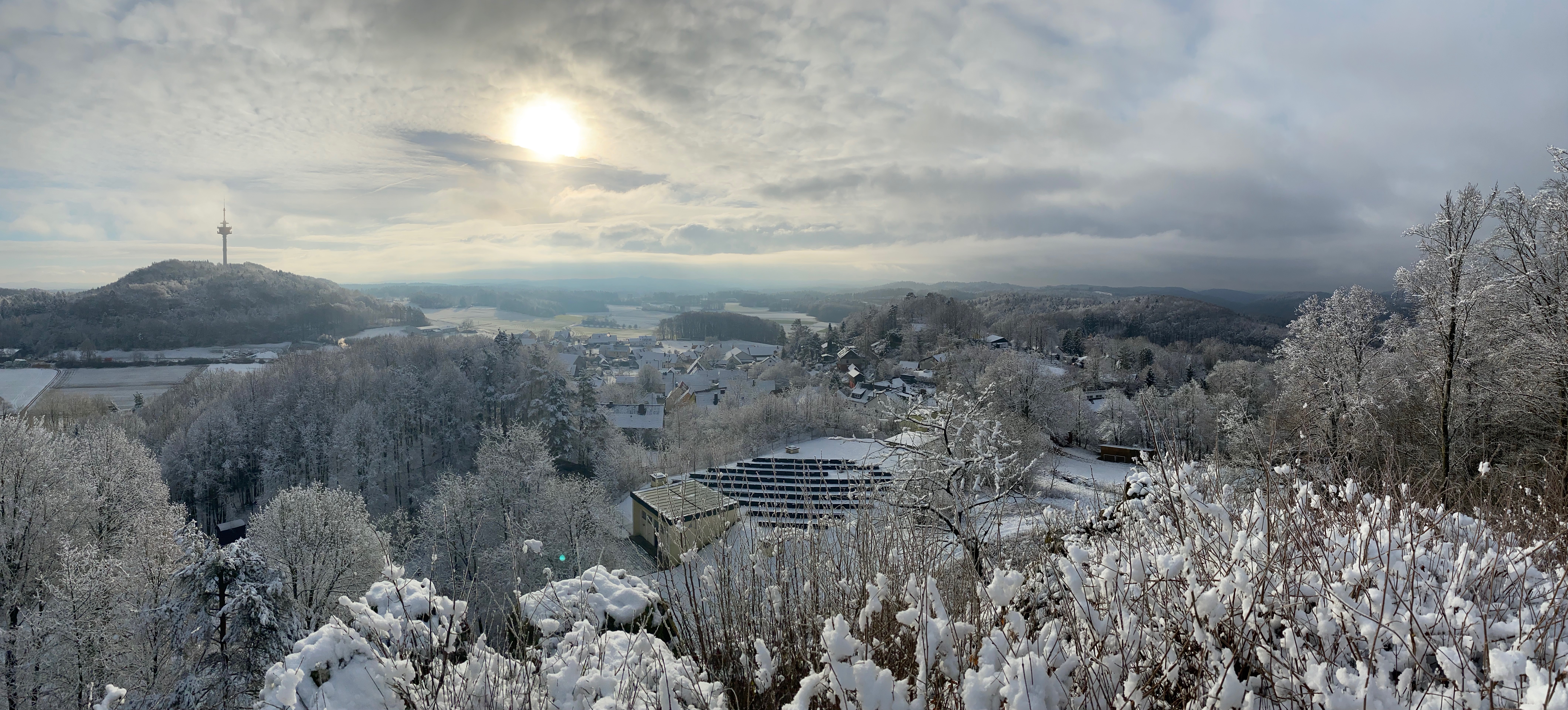 Spies im Winter