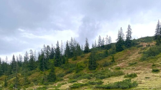 Bergwanderung in der Wildschönau zur Breiteggspitze 2023