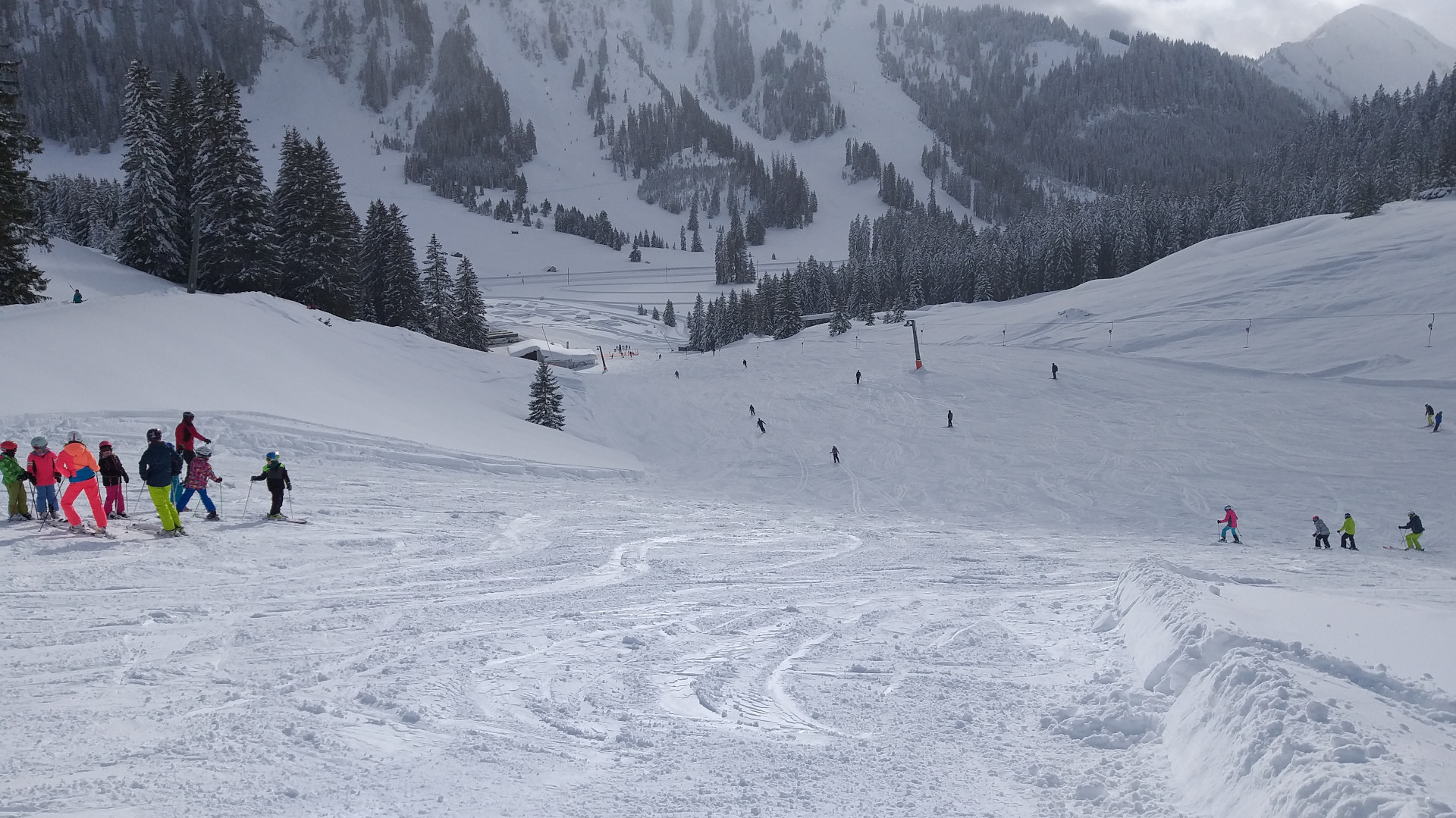Skifahrer auf verschneiter Piste mit bewaldeten Bergen im Hintergrund.