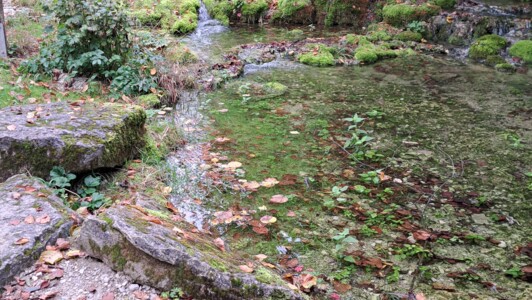 Seniorenwanderung Lillachtal 2025